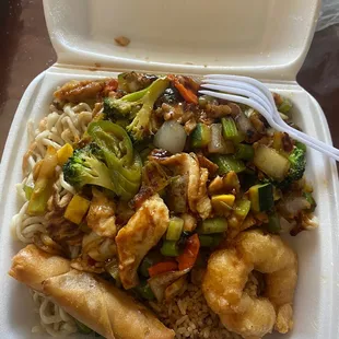 Combo plate with Kung pao
