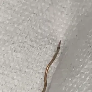 a worm crawling on a piece of paper