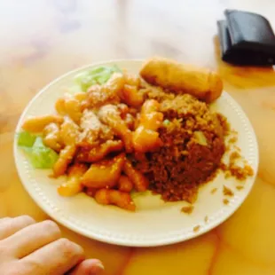 Honey Chicken - Huge portions!