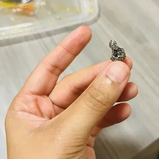 Metal Brillo pad to clean with in my food