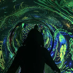 Spinning Tunnel -Starry Night