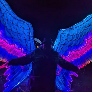 The faster you flap your arms, the prettier the colors ..