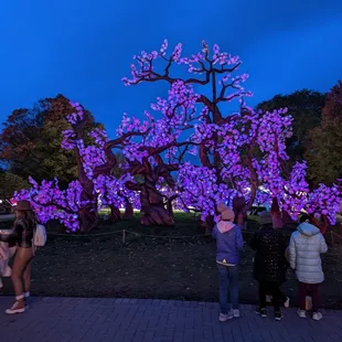 Some of the traditional lights made it back this year!