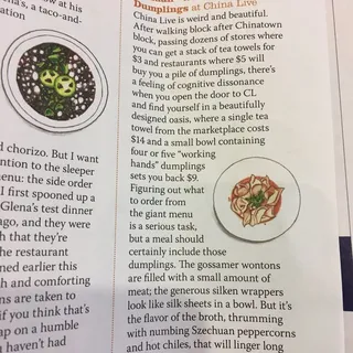 "Impossible" Sichuan Working Hands Dumplings (10) (vt)