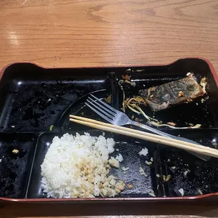Empty Bento Box