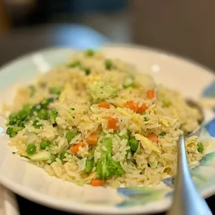 Vegetable Fried rice