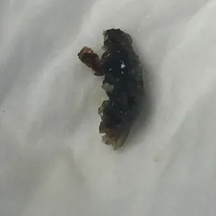 Came with the orange chicken... those are legs!!! Gross!