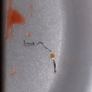 Foil that on breaded and fried with my chicken wing.