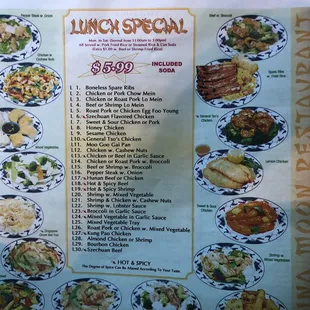 Lunch Special