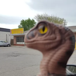 Bob the Raptor Says "China Mountain Prey is tasty."