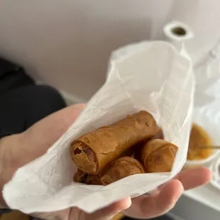  person holding a paper bag of food