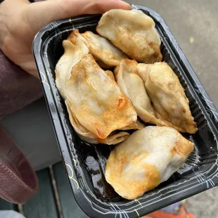 Pan fried pork dumplings