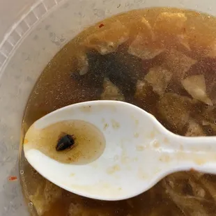 Roach inside Hot &amp; Sour soup.