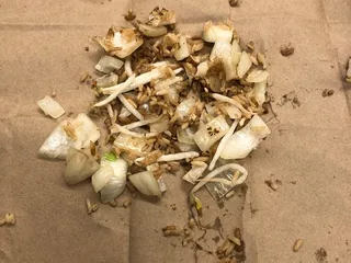 Hibachi Express