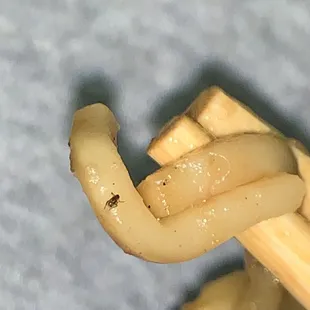 an insect crawling on a banana