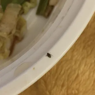 a plate of food with a bug on it