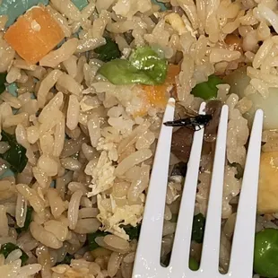 food is good but i found a bug in my food &amp; my mom found a hair in hers (i don't have a picture of the hair)