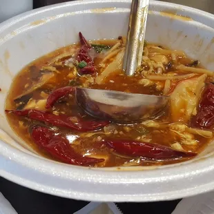 Hot and Sour Soup Teriyaki