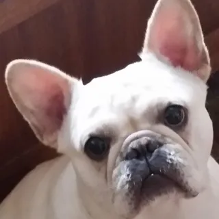 Amy M.