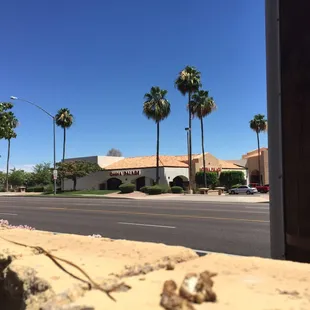a view of a street with palm trees