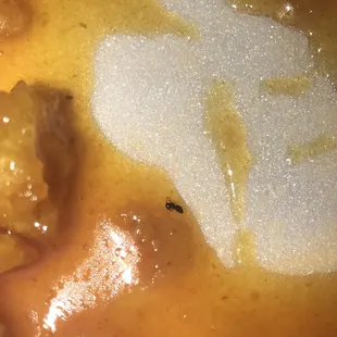 honey chicken with a black bug
