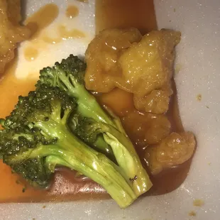 honey chicken w the black bug on the broccoli