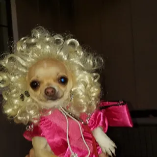 Tammy R.