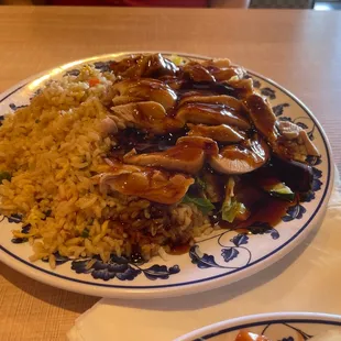 Terriaki chicken and fried rice
