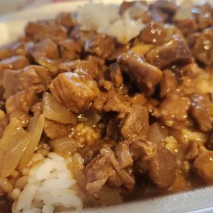 Braised pork over rice... not very braised.