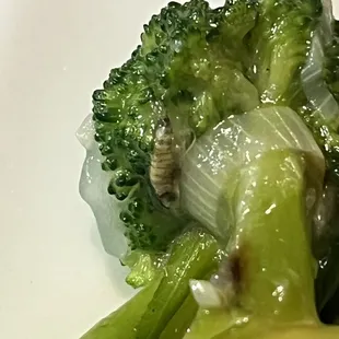 Disgusting PARASITES LARVA in China Pavilion's kitchen!!!! Sick to our stomachs!!!