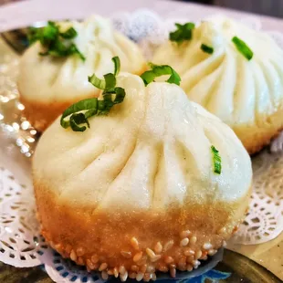 House special pan seared pork buns