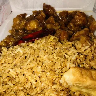 Orange chicken and fried rice .