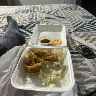 Chicken Pot Stickers