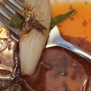 Cockroach in Mongolian Beef
