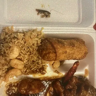 A ROACH IN THE FRIED RICE! I&apos;m so DISGUSTED OMG WHHHHY