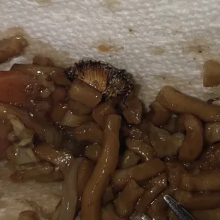 Brown marmorated stink bug native to China highly seasoned and cooked to perfection in my Vegetable Lo mien.