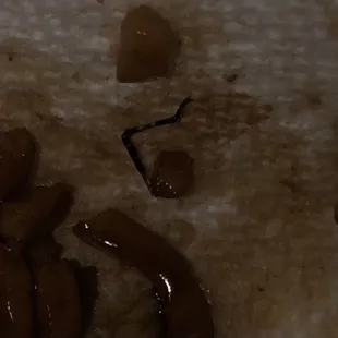 Brown marmorated stink bug native to China highly seasoned and cooked to perfection in my vegetable lo mien.