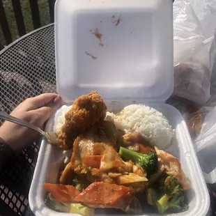 Lunch size chicken &amp; broccoli added a wing for the photo