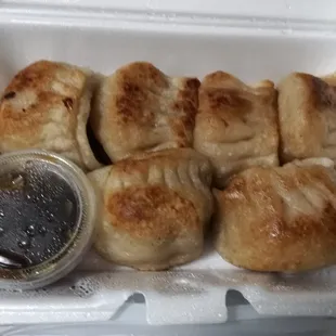 Fried Potstickers