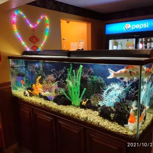 Fish tank