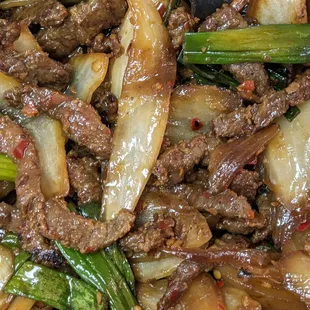 Mongolian Beef!