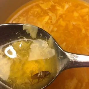 BUGS IN THEIR FOOD. Just ordered Egg Drop Soup. Found a huge bug in my soup.