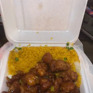 General Tso chicken and Fried rice