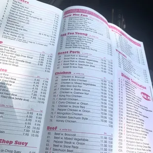 Main food menu