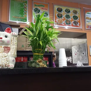 Nice and clean, even though this is just a shot of lucky kitty and lucky bamboo.