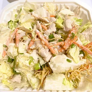 Chinese Chicken Salad w/green onion that I added at home