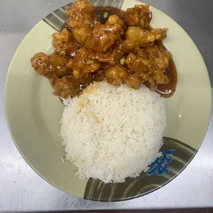 a plate of food with rice and meat