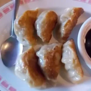 Pot Stickers