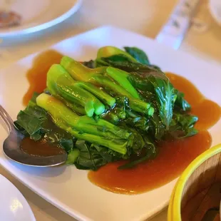 shellfish, oysters and mussels, food, oysters, mussels