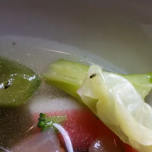 soup, food, soups and chowder, chowder